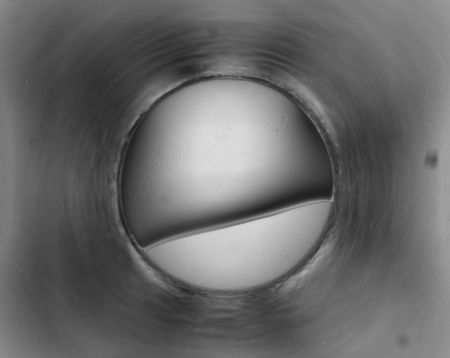 X0000103251041200808281052
