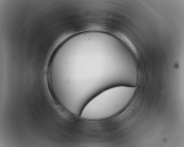 X0000103251043200808281052