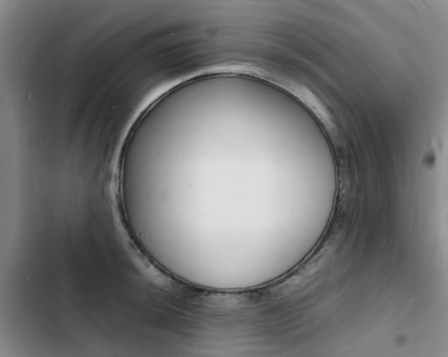 X0000103251044200808281052
