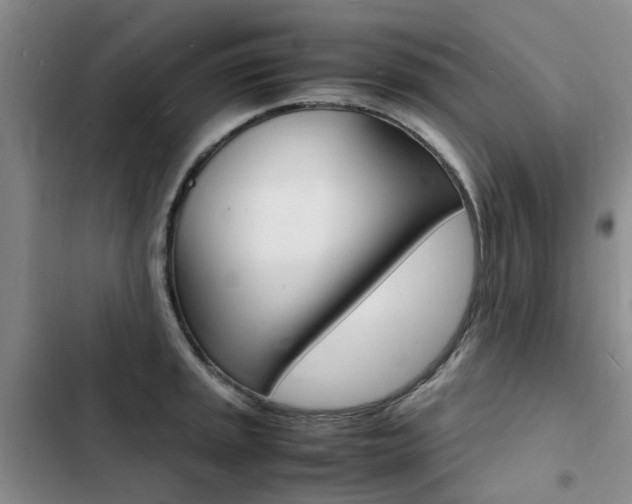X0000103251045200808281052