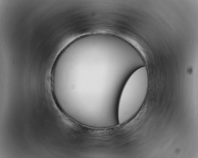 X0000103251047200808281052