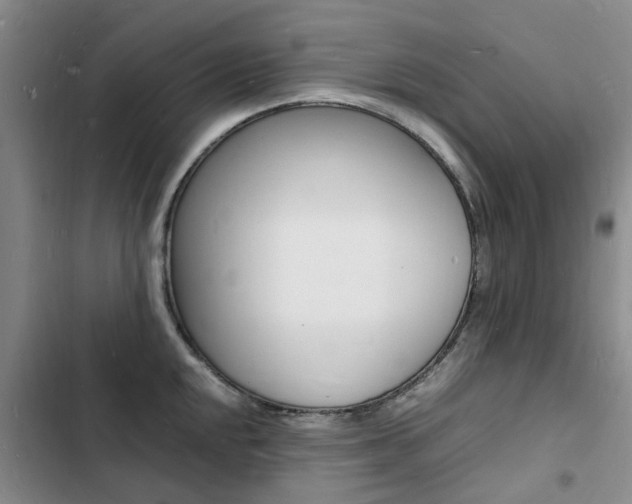 X0000103251048200808281052