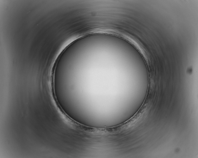X0000103251050200808281052