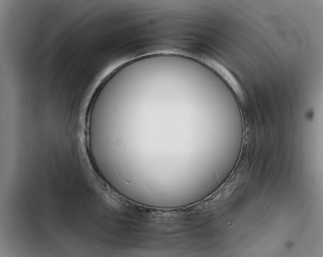 X0000103251051200808281052