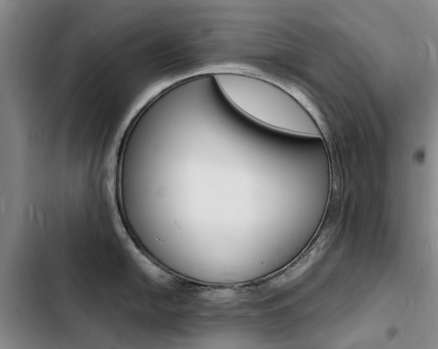 X0000103251054200808281052