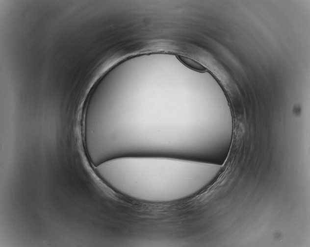 X0000103251055200808281052