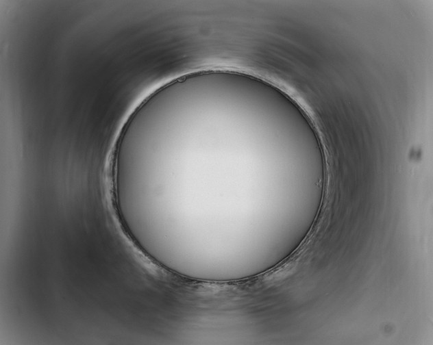 X0000103251056200808281052