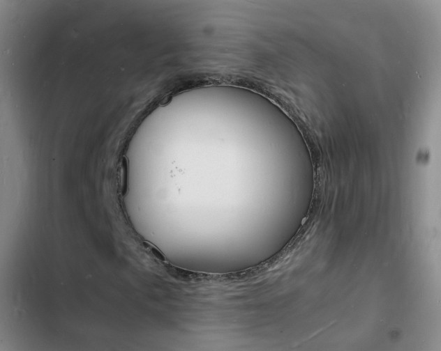 X0000103251057200808281051