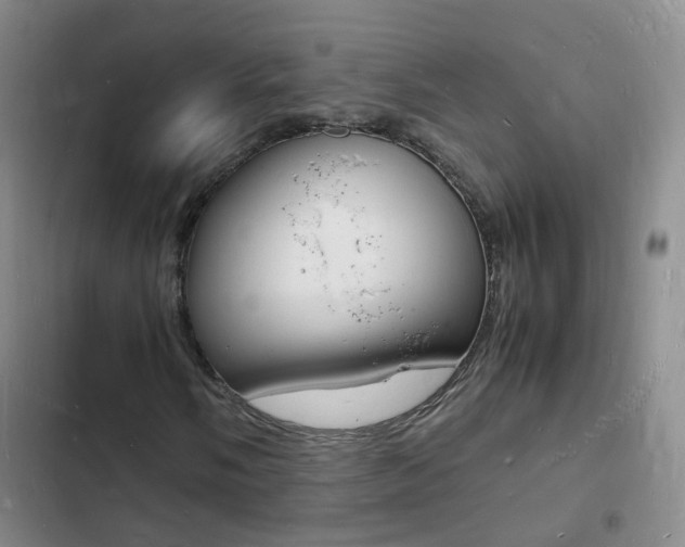 X0000103251058200808281051
