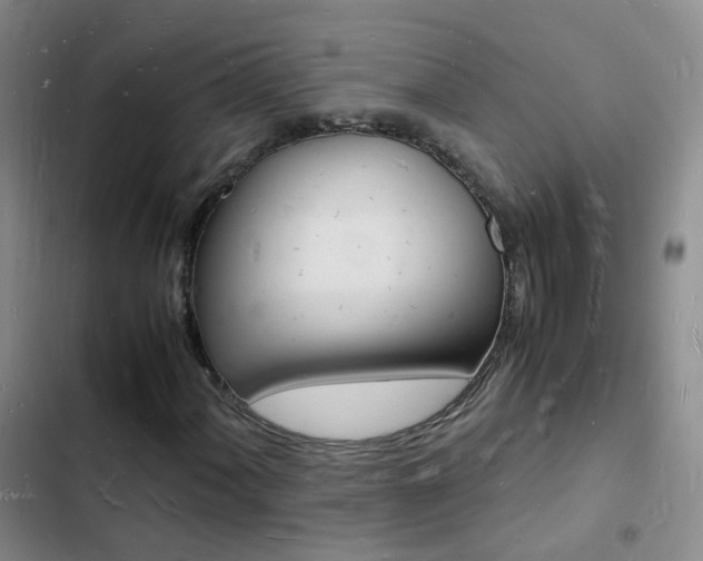 X0000103251060200808281051