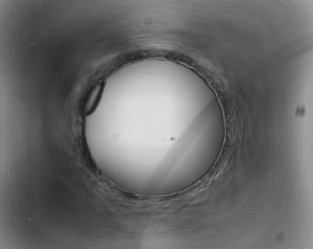 X0000103251061200808281051