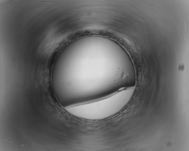X0000103251062200808281051