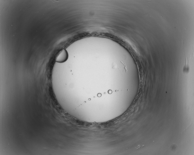 X0000103251063200808281051