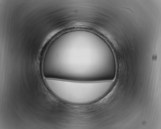 X0000103251066200808281051