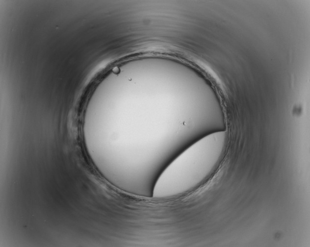 X0000103251067200808281051