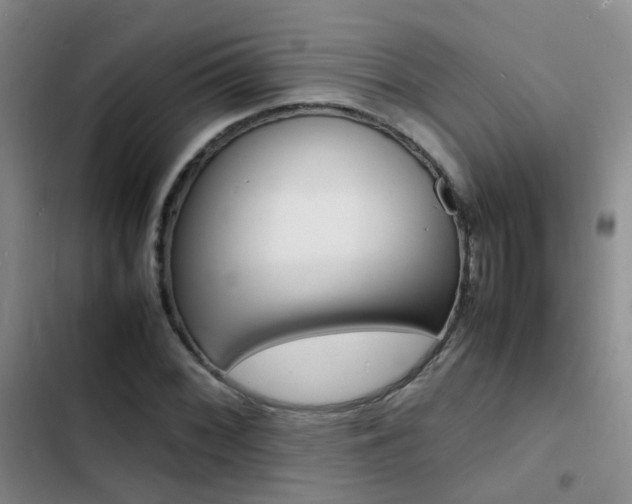 X0000103251068200808281051