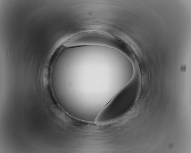 X0000103251069200808281051