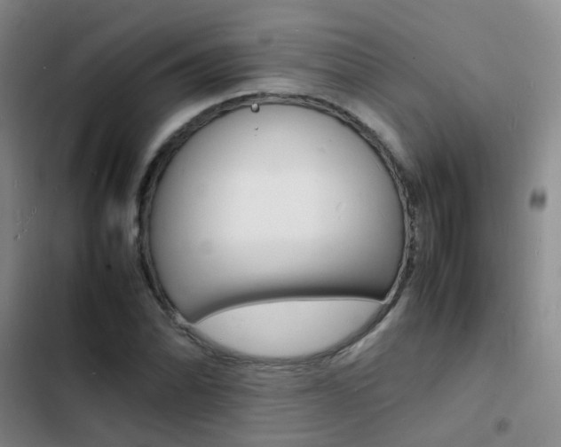 X0000103251070200808281051