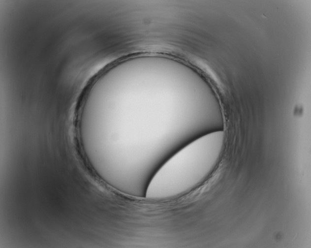 X0000103251071200808281051