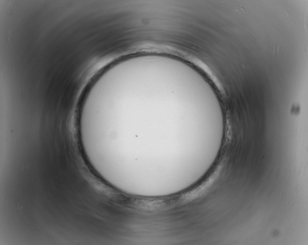 X0000103251074200808281051