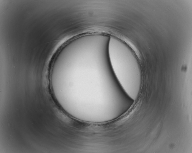 X0000103251075200808281051