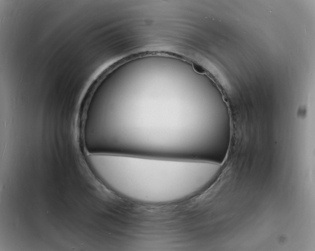 X0000103251076200808281051