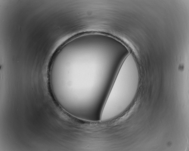 X0000103251077200808281051