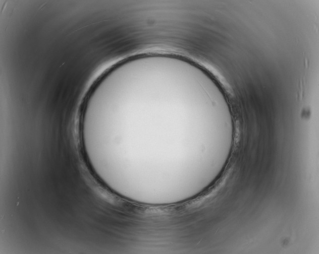 X0000103251078200808281051