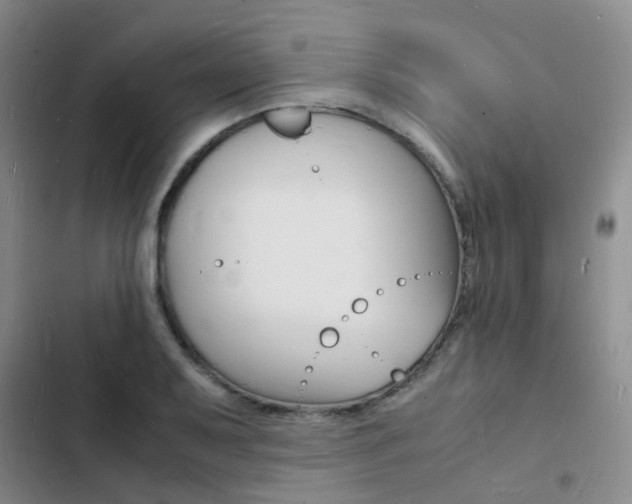 X0000103251079200808281051
