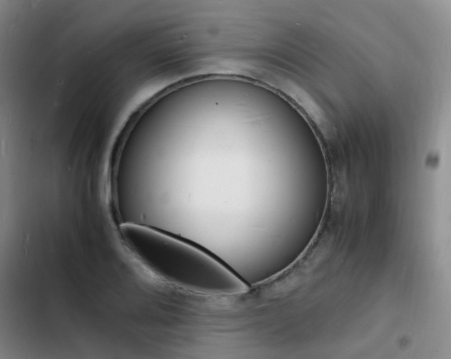 X0000103251080200808281051