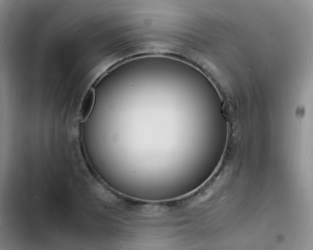 X0000103251081200808281051