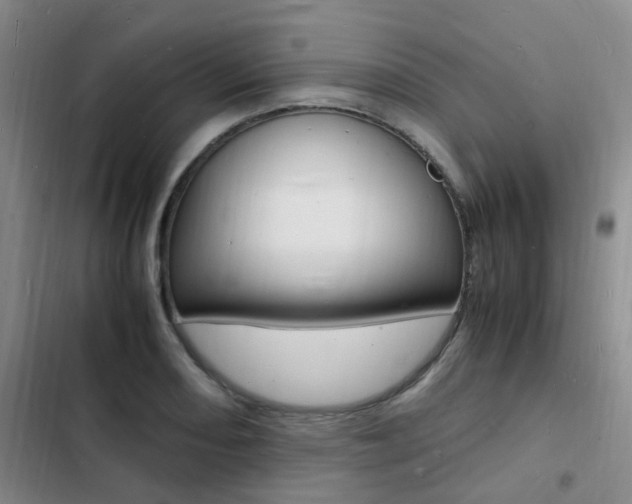 X0000103251082200808281051
