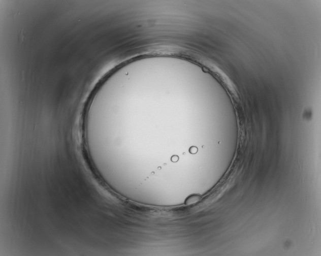 X0000103251083200808281051