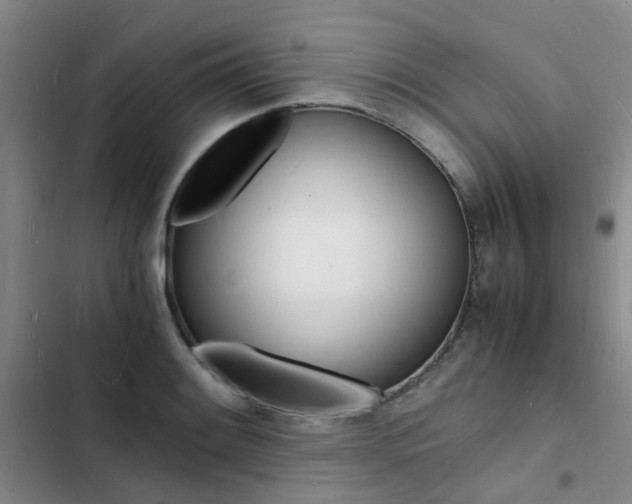 X0000103251084200808281051