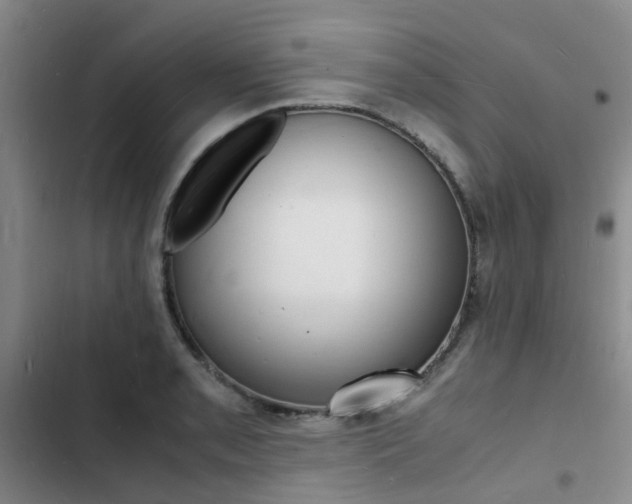 X0000103251085200808281051