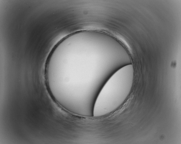 X0000103251087200808281051