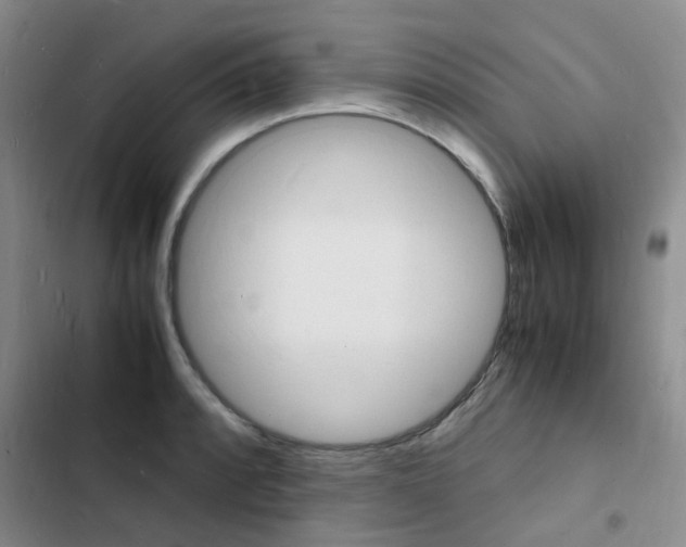 X0000103251088200808281051