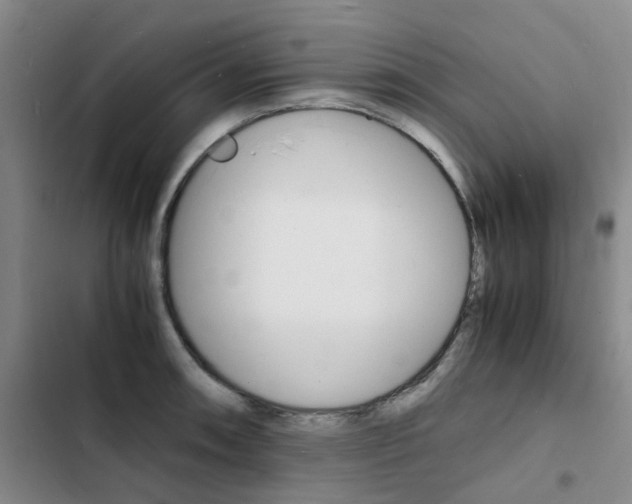 X0000103251090200808281051