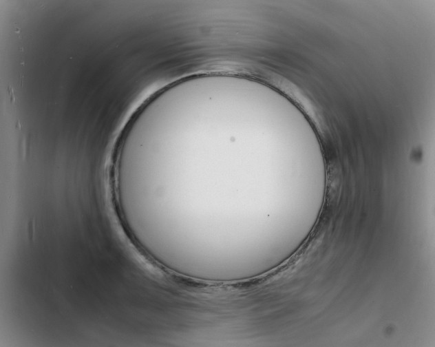 X0000103251091200808281051