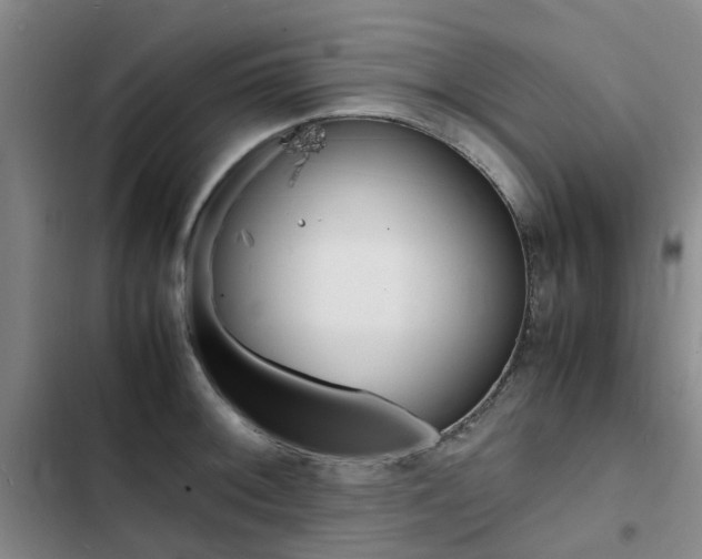 X0000103251092200808281051