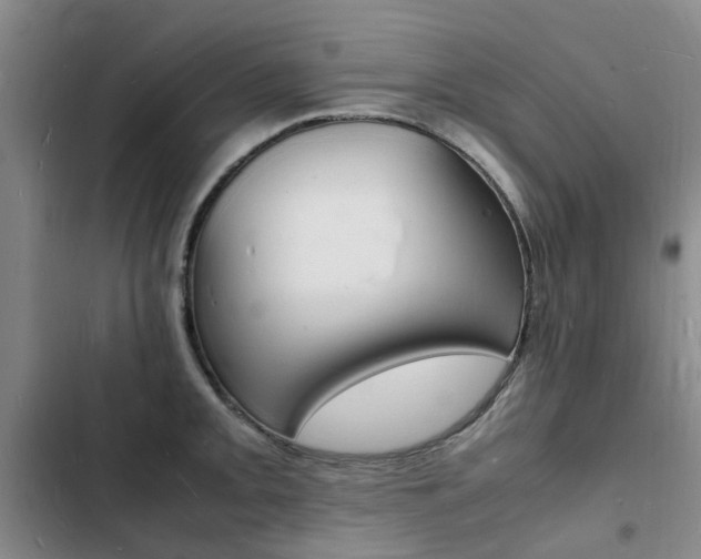 X0000103251093200808281051