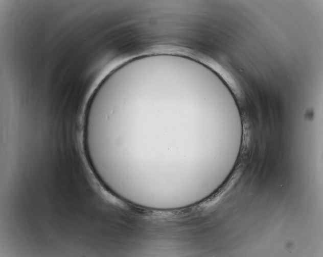 X0000103251094200808281051
