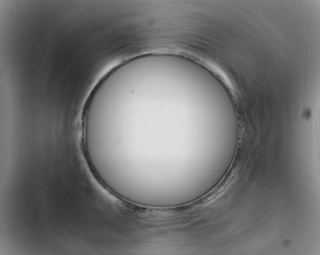 X0000103251095200808281051