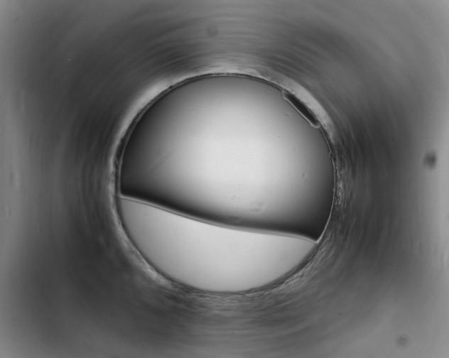 X0000103251096200808281051