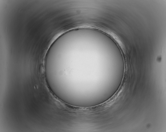 X0000103251097200808281051