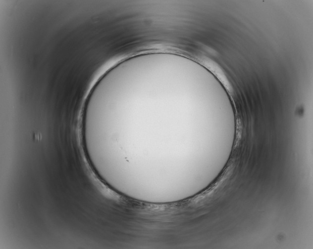 X0000103251098200808281051