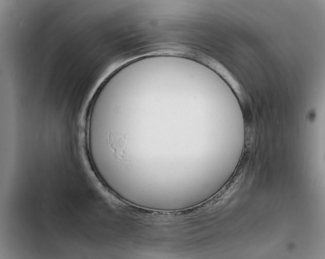X0000103251099200808281051