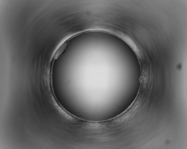 X0000103251100200808281051