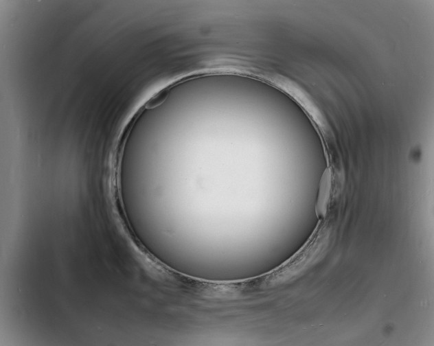 X0000103251101200808281051