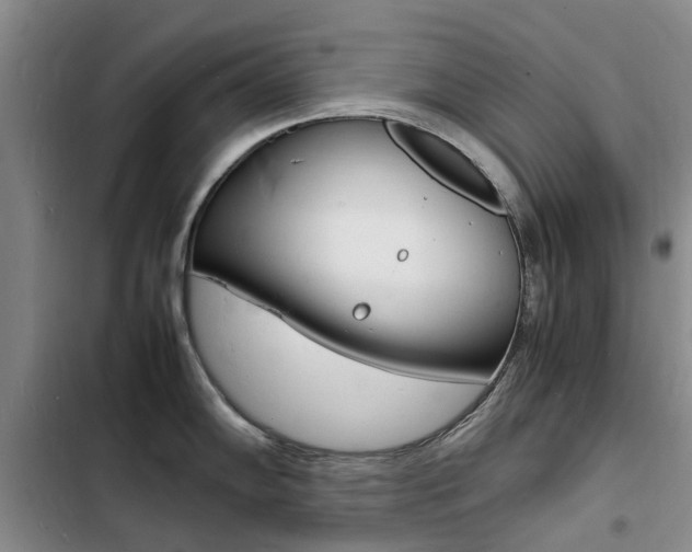 X0000103251102200808281051